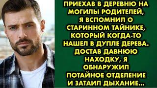 Приехав в деревню на могилы родителей, я вспомнил о старинном тайнике, который когда-то нашел в…