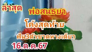 พ่อสนธยา#ล่าสุดโค้งสุดท้าย#ฟัน3ตัวขาดๆหางเดียว#16.ต.ค.67