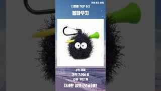 2024년 볼파우치 추천 TOP5!