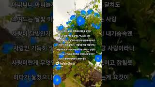 장민-창부타령#어릴적 동네 잔치에서 흥겹게 울려퍼지던 어르신들의 노랫가락 ..