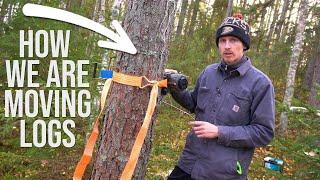 How We Are Moving Logs For Our Log Cabin | Off Grid Island Ep.15