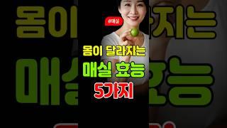 여름 매실 효능 5가지 #매실효능 #피로회복 #시니어건강