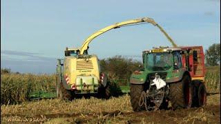 Mud-Larks in the Maize!  Krone and Loads of Trailers plus Pusher Tractor!