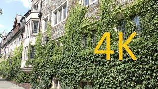 A 4K Tour of Princeton University