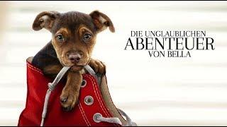 Unboxing ~ Die unglaublichen Abenteuer von Bella/A Dog’s Way Home ~ Sony Pictures  (German)