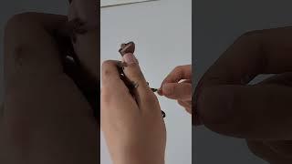 리자드 탈피껍질 떼는 것 도와줬다.얼마전 자몽이 탈피껍질이 남아있다가 다리에 피가 안통해서 발바닥이 부어올라서 고생했기 때문이다.자드야 도와줄께 조심조심