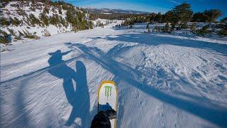 Bataleon Board Comparison POV - Camel 2 | Surfer | Party Wave+