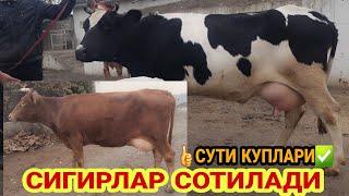 СУТДОР ЭСТОН РАССИЙИСКИ СИГИРЛАР НАРХИ ️+998 90 390 43 48 ️+998 33 975 90 00 21 ноября 2022 г.