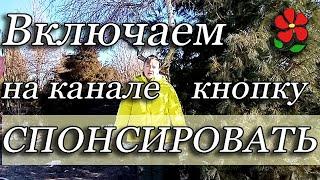 Включаем на канале кнопку "Спонсировать". Присоединяйтесь!