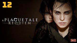 A Plague Tale: Requiem. Жизнь, которую мы заслужили. Прохождение № 12.