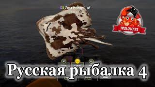 Русская рыбалка 4 Покатушки по Норвежскому морю Макрурус