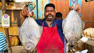 KASIMEDU  SPEED SELVAM | BIG BLACK POMFRET FISH CUTTING VIDEO | IN KASIMEDU | FF CUTTING 