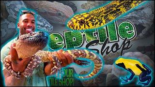 VISITING THE REPTILE SHOP, TEMECULA | THE REAL TARZANN