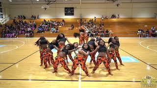 Hip Hop | The Academy Experience Dance Competition By: Pink Illusion Dance Co. 2025 | DMV