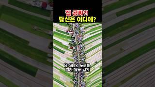 집이 공짜?! 당신은 어디에 살고 싶나요?