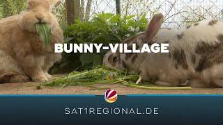 Bunny-Village: Private Tierschutzinitiative in Neuengörs kümmert sich um Kaninchen