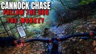 Cannock Chase MTB Follow the Dog & The Monkey