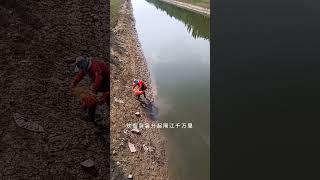 New Big Cast Net Fishing Videos   Catch Lot of Big Fish by Cast Net in Pond 1