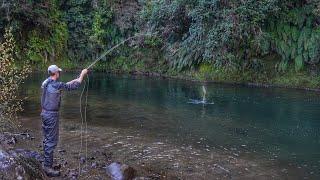 This River is Magic, Dry Fly and Streamers Fishing!