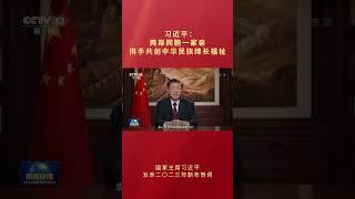 习近平：两岸同胞一家亲，携手共创中华民族绵长福祉