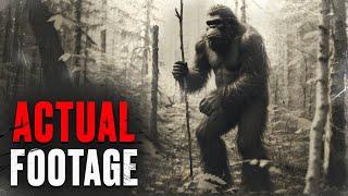 Top 10 CREEPIEST Bigfoot Videos EVER 2024