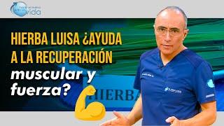  Hierba Luisa: ¿Ayuda a la recuperación muscular y fuerza? 