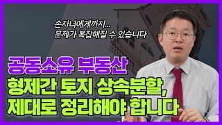 형제들이 상속 받은 공동소유의 토지를 분할하거나 매매할 때, 가장 많이 물어보시는 질문들(with 이우리 변호사)