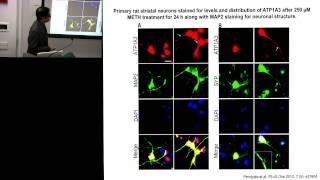 Deciphering the synapse in drug abuse: a systems biology approach