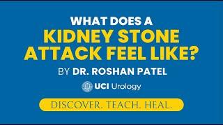 What Does a Kidney Stone Attack Feel Like? by Dr. Roshan Patel - UC Irvine Department of Urology
