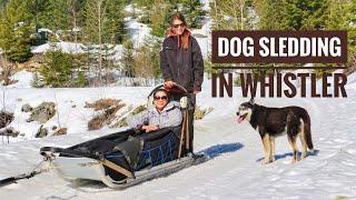 Dog Sledding Adventure in Whistler, Canada