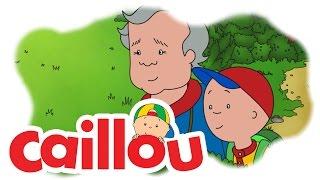 Caillou - Blueberry Point  (S05E21) | Cartoon for Kids