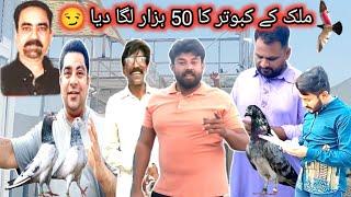 ملک ریاست کے سیٹ اپ کا شو کرے