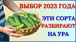 Эти ОГУРЦЫ никого НЕ оставят равнодушным и ЗАВАЛЯТ урожаем в 2023 году.