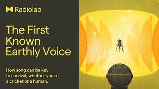 The First Known Earthly Voice | Radiolab Podcast