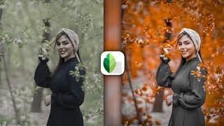 snapseed  orange & dark brown tone realistic effect editing | background colour change editing