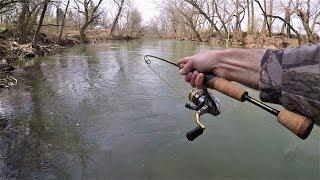 CREEK Fishing for Rainbow & Brook TROUT with Spinners