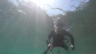 Snorkeling Playa Puerto Arturo. Lago Lolog. San Martín de Los Andes