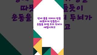 #30분 #산책 #뇌기능 #향상 #운동