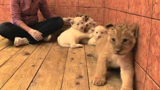 Belgrade Zoo 2011 Episode 11 Part 3