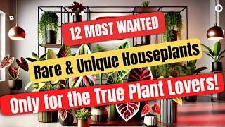 12 Rare Houseplants of 2024 (Most Rare and Unique Collection)