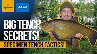 Specimen Tench Fishing | Matt Fernandez | Feeder Fishing