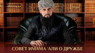 СОВЕТ ИМАМА 'АЛИ О ДРУЖБЕ | Имам Шамиль Шафи'ий