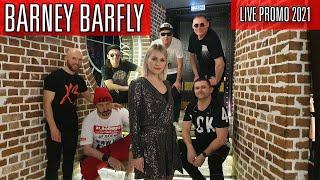 BARNEY BARFLY - Live Промо 2021 (кавер-группа на свадьбу, Москва)