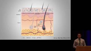 Inflammatory Gene Expression in Keratinocytes