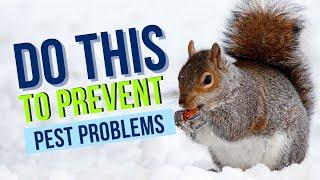 Number 1 Thing You Can Do To Prevent Pest Problems - Prompt Action Pest Control