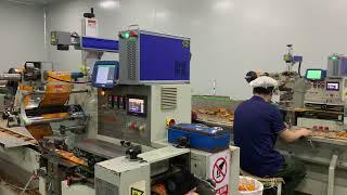 Snack automatic package machine with laser marking | package machine | laser marking machine