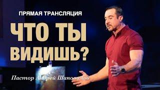 Прямая Трансляция - «Что ты видишь?» Пастор Андрей Шаповалов (03/11/24)