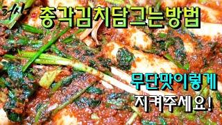 총각김치담그는방법 무 단맛은 이렇게 지켜주세요 절임이 중요 알타리김치 김장김치 양념비율 만드는법!(Bachelor Kimchi)