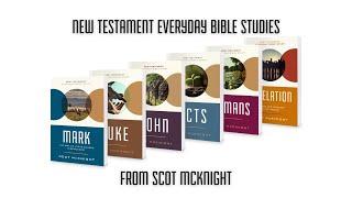 New Testament Everyday Bible Study Series by Scot McKnight