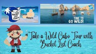 Wild Cabo Tours: Book with Bucket List Coach Travel & Tours